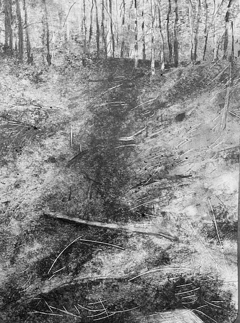 Above the Brook by Steve Bradbury