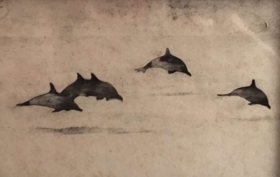 dolphins drawing by Steve Bradbury