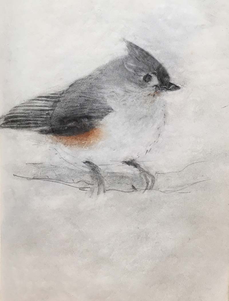 small bird by Steve Bradbury