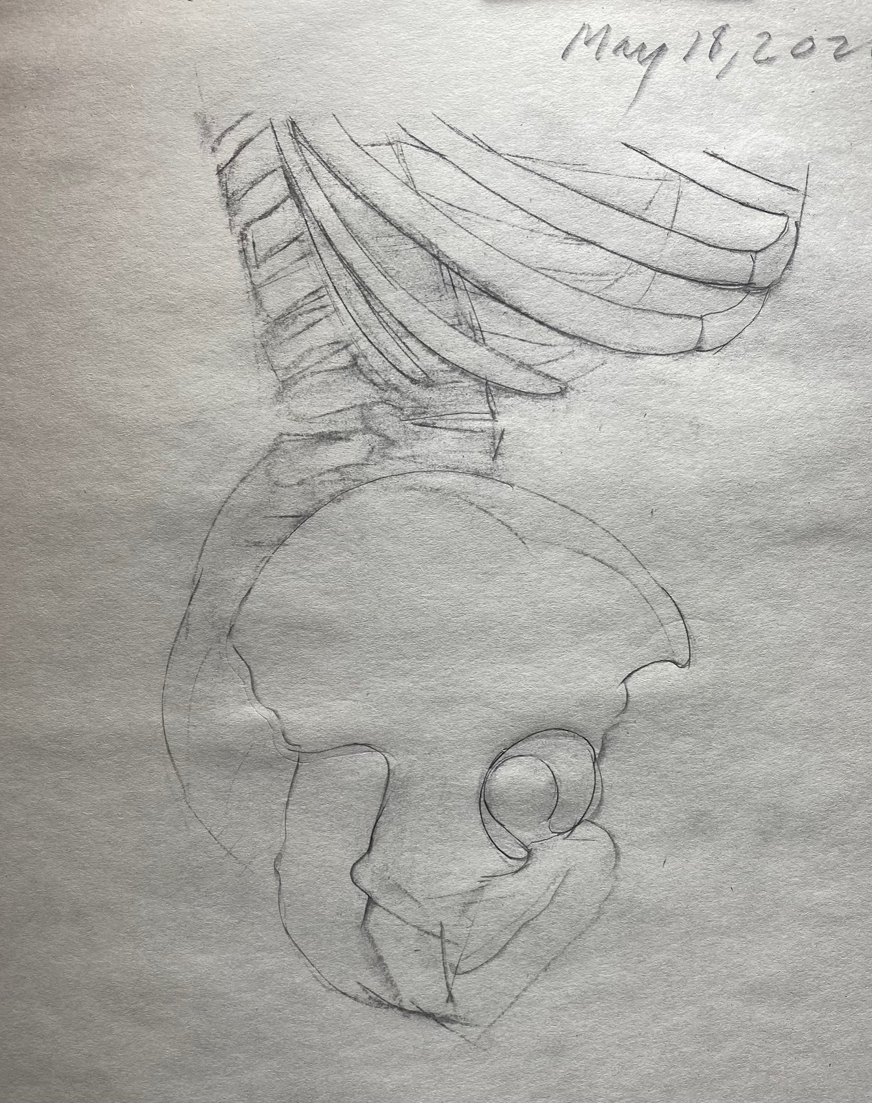 Skeletal Torso Lateral View drawing by Steve Bradbury