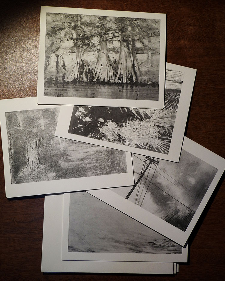 Black and white Card set of five by Steve Bradbury