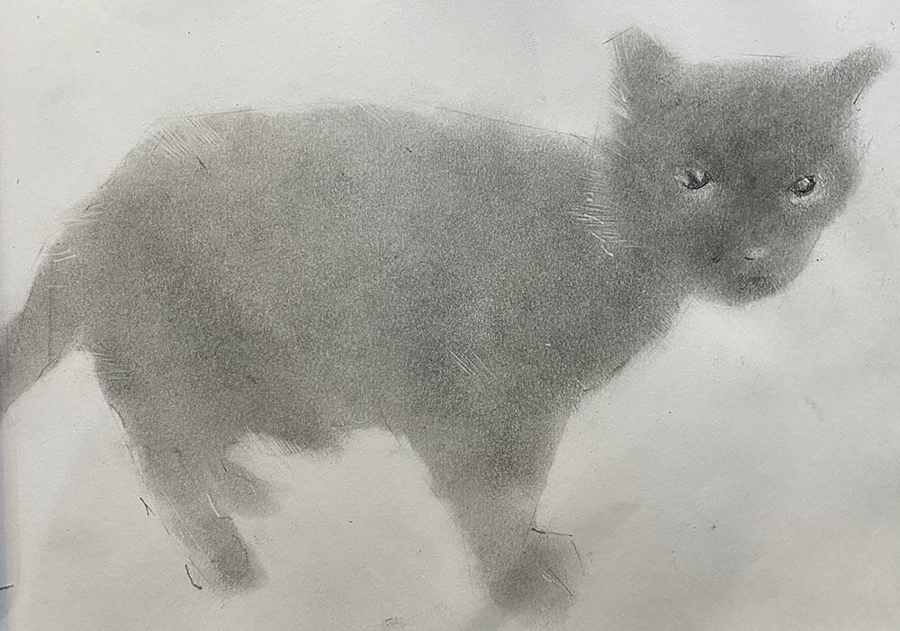 Sombra, dog drawing by Steve Bradbury