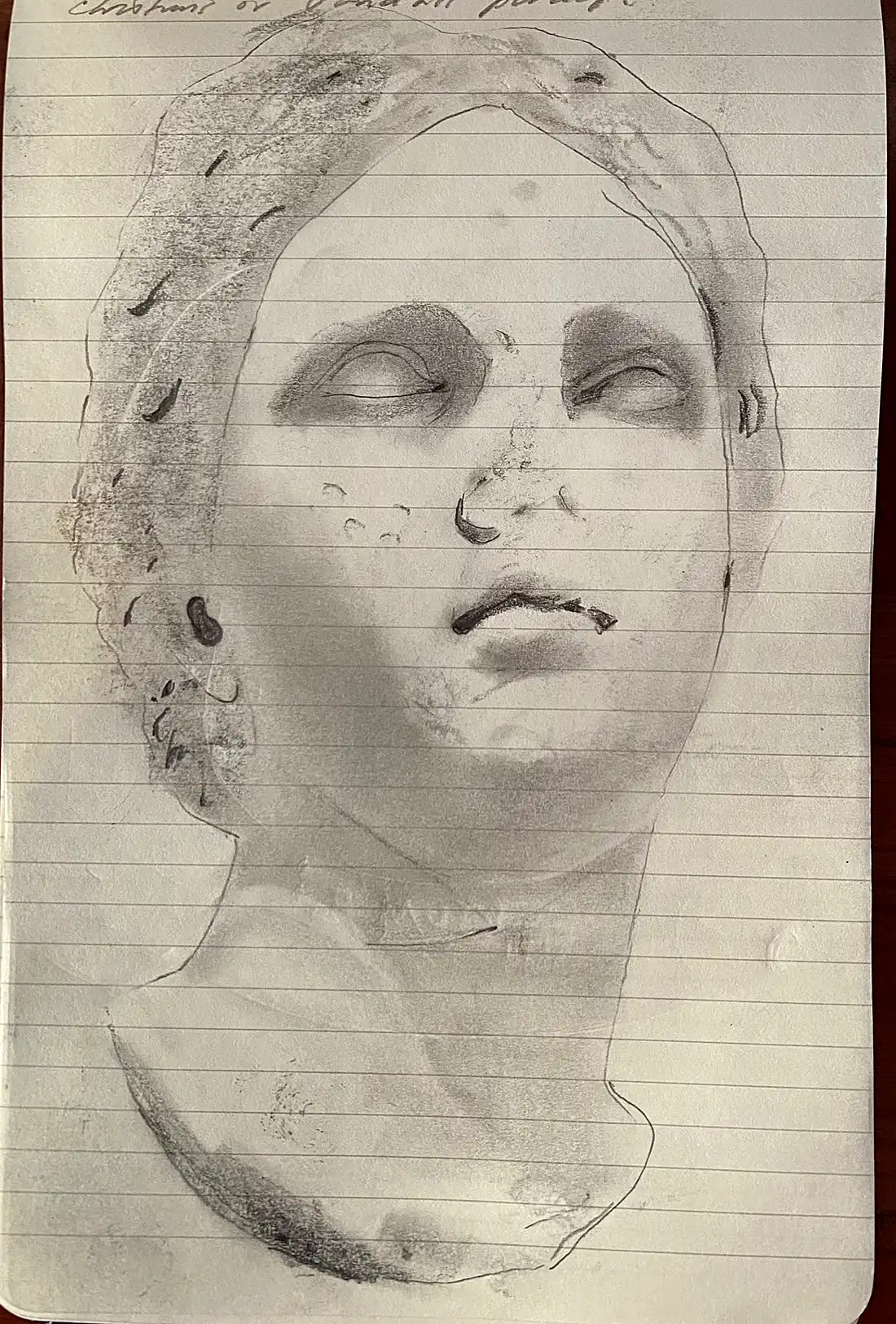 Venus de Bloomington drawing by Steve Bradbury