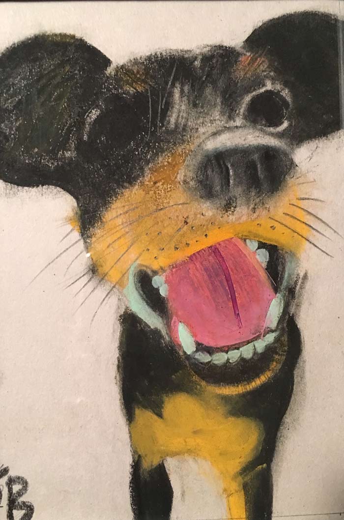 dog 1 by Steve Bradbury