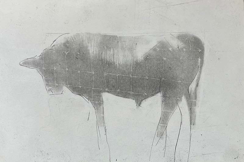 Bull and Barbed Wire drawing by Steve Bradbury